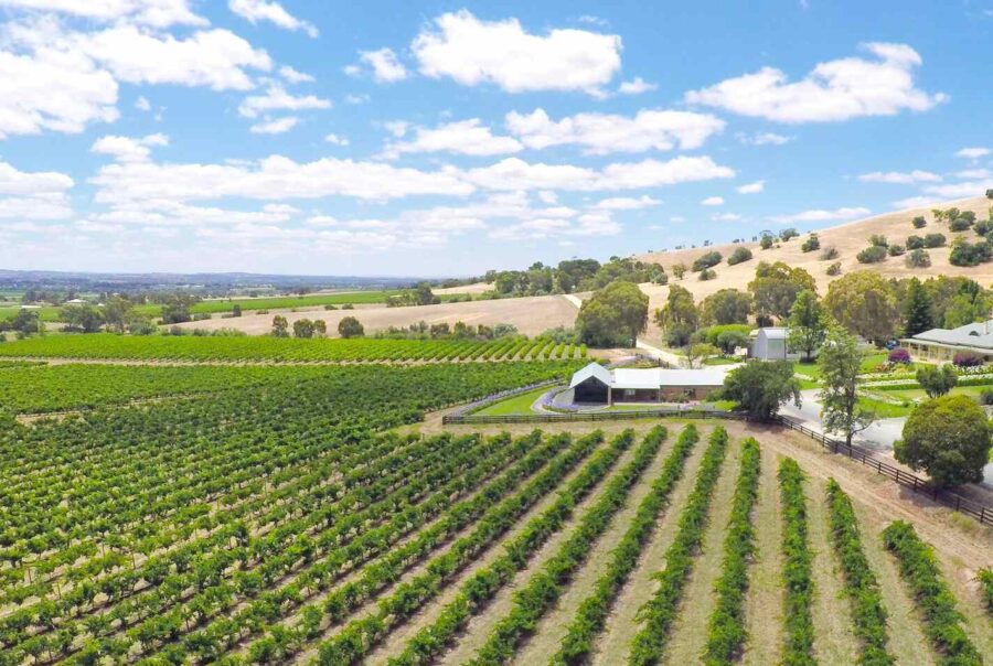 Vineyard australia