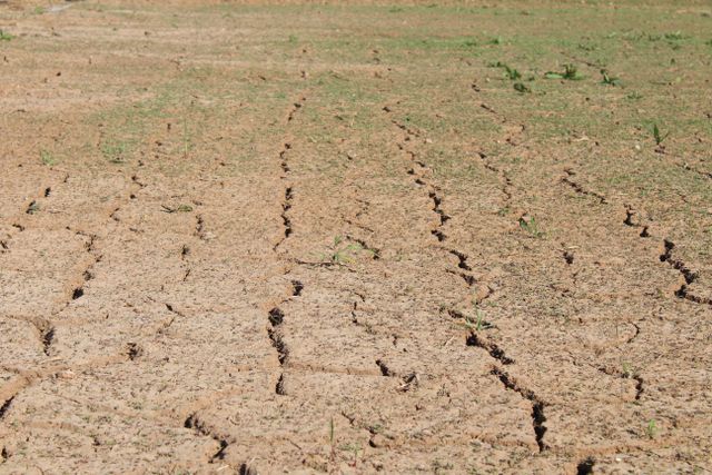 drought on australian farmland